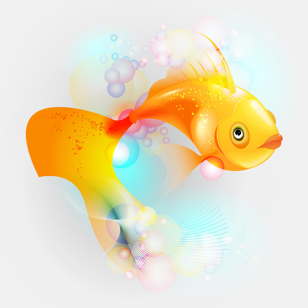 金の魚 - 写真・画像