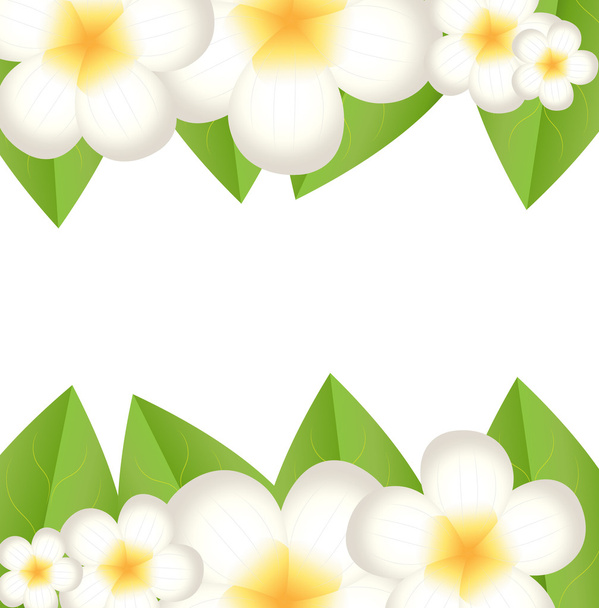 background for a design with beautiful flowers - Vector, imagen
