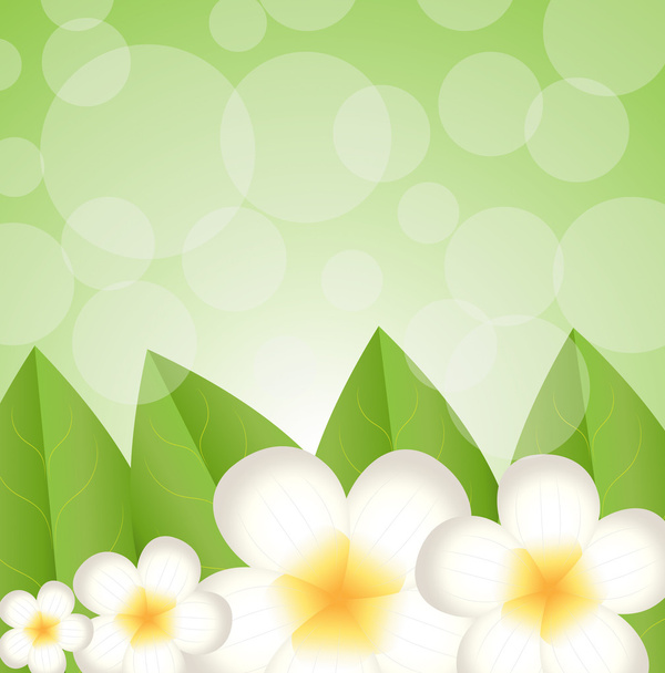 background for a design with beautiful flowers - Διάνυσμα, εικόνα