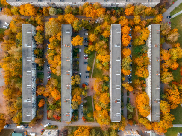Uitzicht van bovenaf op woongebouwen omgeven door kleurrijke bomen. Geel en oranje blad. Herfstseizoen concept. Gezond leven. - Foto, afbeelding
