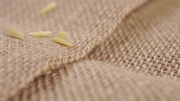 Raw peeled whole barley grains fall onto rustic burlap in slow motion. Macro shot. Healthy farm diet food concept - Footage, Video