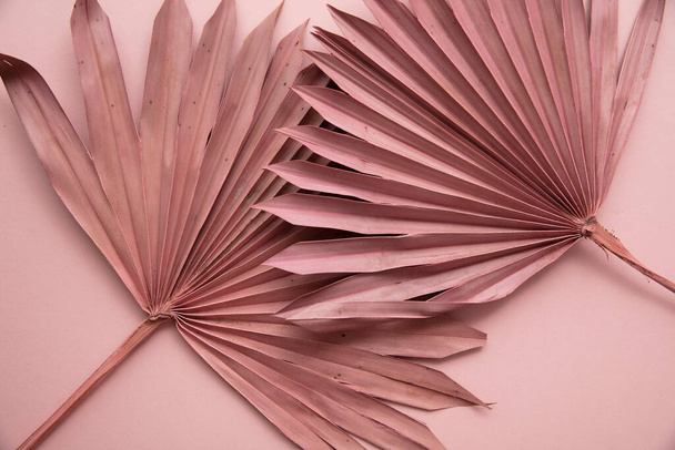 Dried pink tropical palm tree leaf boho style fashionable decoration on a pastel pink background - 写真・画像