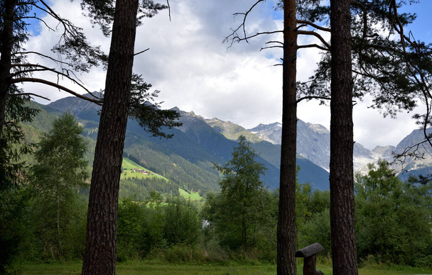 Desde la parte inferior del valle de Anterselva vista del grupo Vedrette di Ries enmarcado por los pinos del bosque - Foto, imagen
