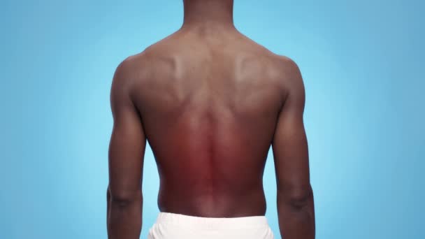 Lumbago-käsite. Takaisin näkymä laukaus musta lihaksikas mies poseeraa paidaton punainen sykkivä tulehtunut alaselän - Materiaali, video