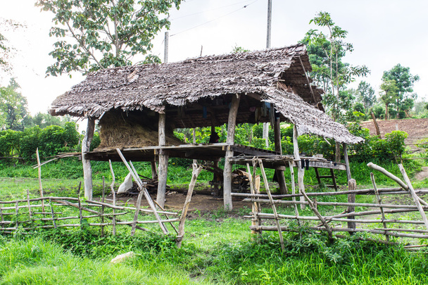 Hut no campo, Tailândia
 - Foto, Imagem