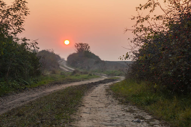 Una splendida vista sulla strada di campagna durante un tramonto panoramico - Foto, immagini