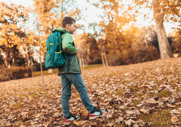 Iskolás gyerek hátizsákkal séta őszi parkban - Fotó, kép