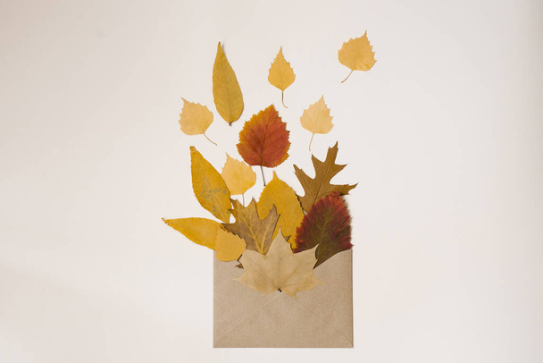 Autumn flat lay. Craft envelope with autumn fallen leaves on a light background - Fotó, kép