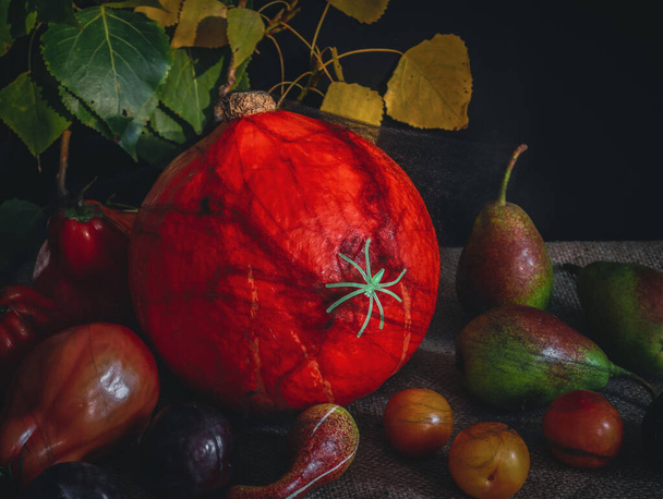 Still life of autumn vegetables and fruits with a green spider. - Photo, Image