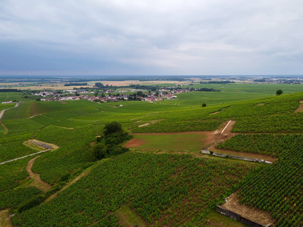 Vista aérea de los grandes viñedos verdes de cru y cru premier con hileras de pinot noir plantas de uvas en Cote de nuits, elaboración de vino tinto y blanco famoso de Borgoña en la región de Borgoña del este de Francia. - Foto, imagen