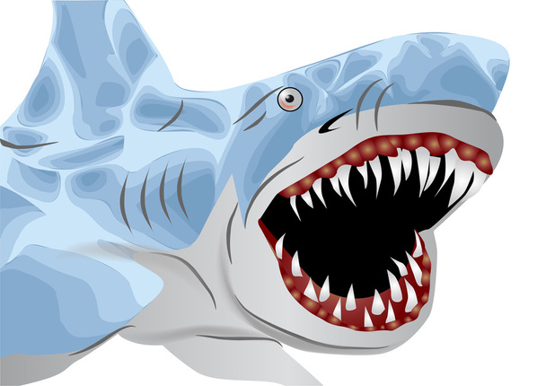 偉大な白いサメ - ベクター画像