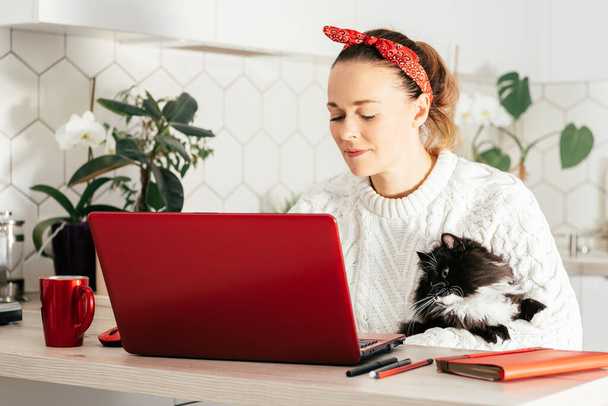 Mladá žena sedí s červeným laptopem doma v kuchyni v červeném obvazu a bílém svetru a dívá se na monitor s kočkou v ruce. Domácí práce nebo koncepce studia - Fotografie, Obrázek