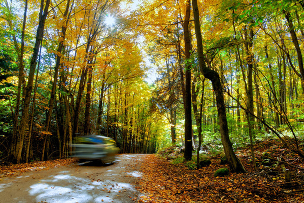Movimiento borroso de un coche con el color de la hoja de otoño y hermoso camino de campo.  - Foto, Imagen