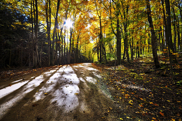 Route de campagne avec couleur des feuilles d'automne et fusée éclairante - Photo, image