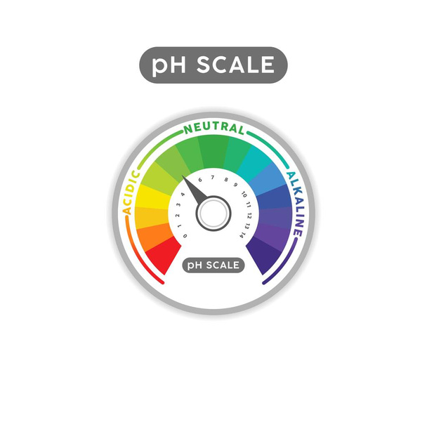 Діаграма індикатора масштабу pH. Аналіз pH векторний тест на хімічну шкалу. Кислотна лужна міра
 - Вектор, зображення