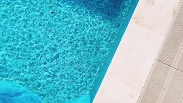 Top widok na basen z krystalicznie niebieską wodą jako wakacje letnie i tropikalny raj wakacje w tle b-roll przy basenie - Materiał filmowy, wideo