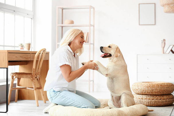 Mature woman holding paws of cute Labrador dog at home - Fotó, kép