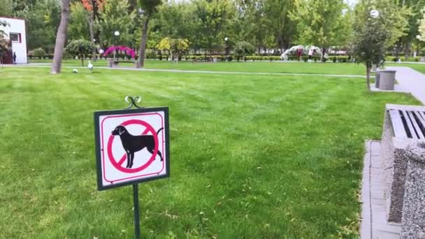 Großaufnahme ohne Hundeschild. Straßenzeiger auf grünem Gras. Verbot von Kot und Haustieren auf Parkrasen und Grünflächen. Ohne Menschen. Hunde sind nicht erlaubt. Platz für Text - Filmmaterial, Video