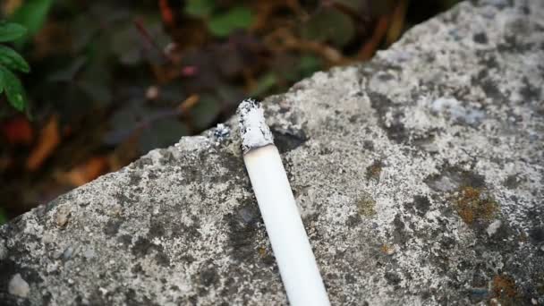 Zeitlupenrauch aus Zigarette - Filmmaterial, Video