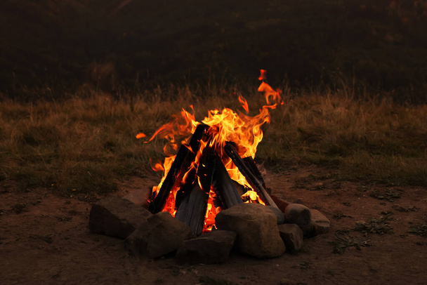 Beautiful bonfire with burning firewood outdoors at night. Camping season - Фото, изображение