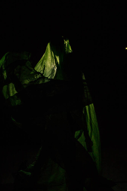 Girl posing in green draping on dark background - Photo, Image