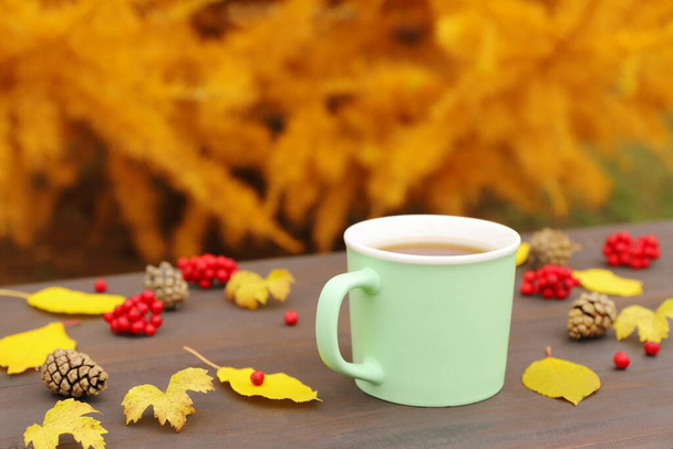 Uma caneca verde de chá entre folhagem, bagas de Rowan e pinhas em um banco de madeira no fundo do larício de outono. Conceito de outono e aconchegante.  - Foto, Imagem