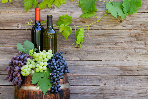 Various colorful grapes and wine bottles on wine barrel on outdoor sunny garden in front of wooden wall with copy space - Photo, Image