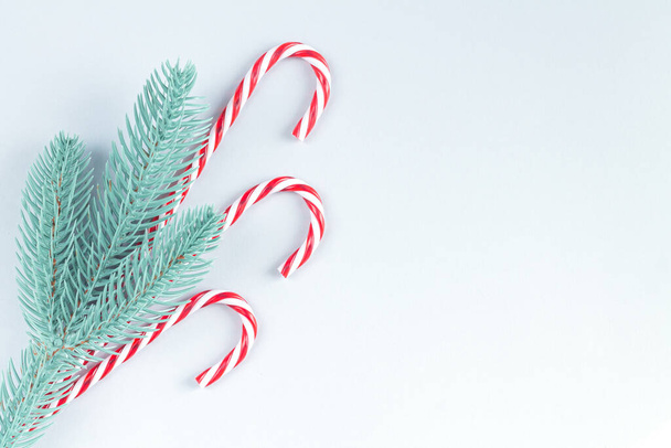 Fondo de Navidad con rama de árbol y cañas de azúcar tradicionales vista superior - Foto, Imagen
