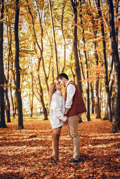 Elegant couple in a sunny autumn park - Fotografie, Obrázek