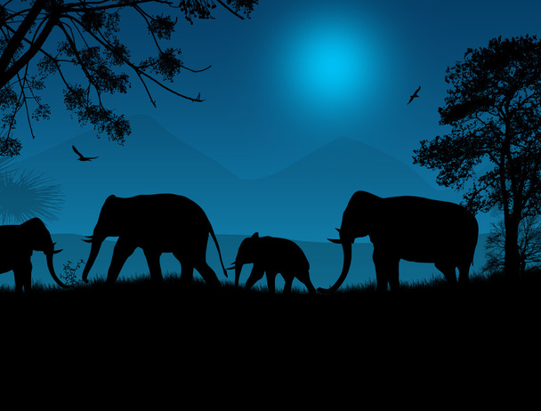 Elephants silhouette in africa - Vector, Image
