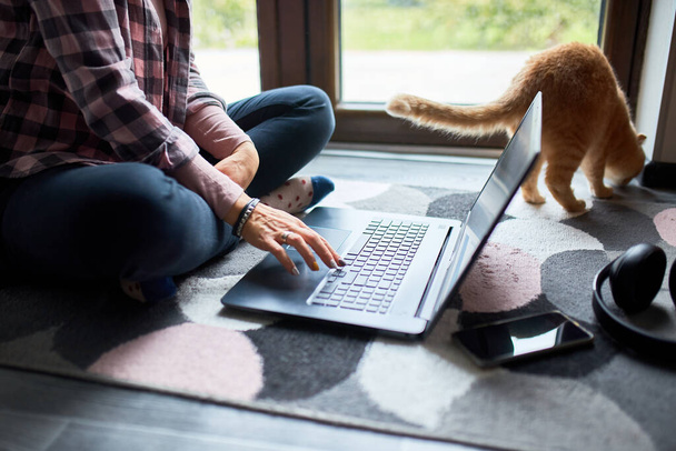 Mujer buscando sitio web veterinario en el ordenador portátil para registrar gato para consulta veterinaria, Freelancer mujer escribiendo en el ordenador portátil sentado en el suelo en casa cerca de grandes ventanas, estudiando, trabajando desde casa. - Foto, Imagen