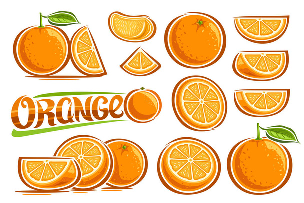 Векторні апельсини Набір, велика колекція вирізаних ілюстрацій фруктових натюрмортних композицій з вітаміном С, дизайн мультфільму нарізаний натуральними апельсинами з зеленим листям і слово апельсин на білому тлі
. - Вектор, зображення