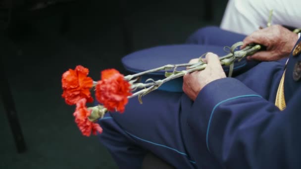 Ein älterer Kriegsveteran hält drei rote Nelken in den Händen - Filmmaterial, Video