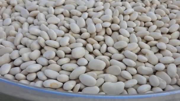 miska sušených fazolí, detailní záběr jedlých fazolí ve velkém množství, - Záběry, video
