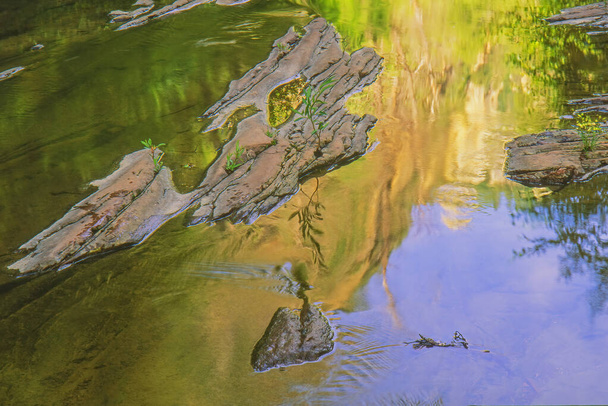 Paesaggio della Forcella Sinistra di North Creek catturato con movimento sfocato, Parco Nazionale di Zion, Utah, USA - Foto, immagini