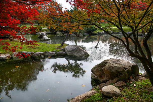 Hojas rojas de arce en el jardín japonés en otoño. - Foto, imagen