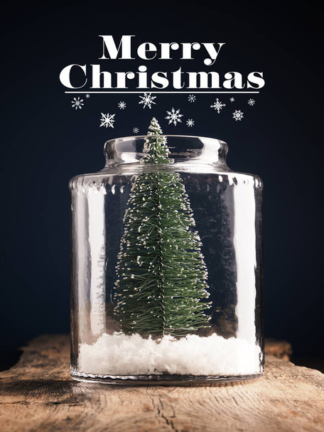 A Christmas tree in a jar with snow, Christmas greeting card, holiday concept - Fotó, kép