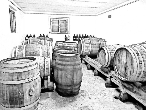 Schwarz-weiße digitale Skizze eines Einblicks in einen Weinkeller voller Fässer - Foto, Bild
