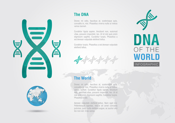 DNA of the world. Info graphic the world with a chromosome. - Vector, Image