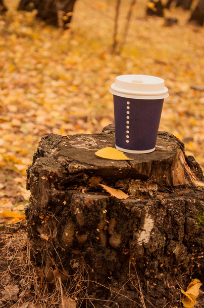 Disposable coffee or tea mug on a old stump in the autumn park. Warm up with aromatic coffee. - Photo, Image