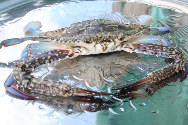 δέρμα καλή εμφάνιση από τον ωκεανό ζευγάρι ζουν καβούρι λάμπει φρέσκα θαλασσινά καβούρι στην ακτή αλιευμάτων  - Φωτογραφία, εικόνα