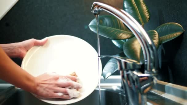Dívka mytí bílý talíř v moderní kuchyni s tmavým skandinávským designem - Záběry, video
