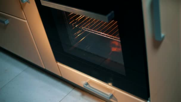 A lány egy finom vacsorát süt egy modern sütőben grill funkcióval - Felvétel, videó