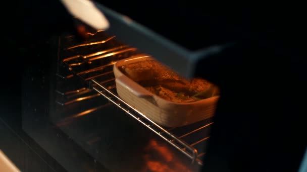 Cocinar un delicioso plato de salmón con verduras en un horno moderno. Primer plano - Imágenes, Vídeo