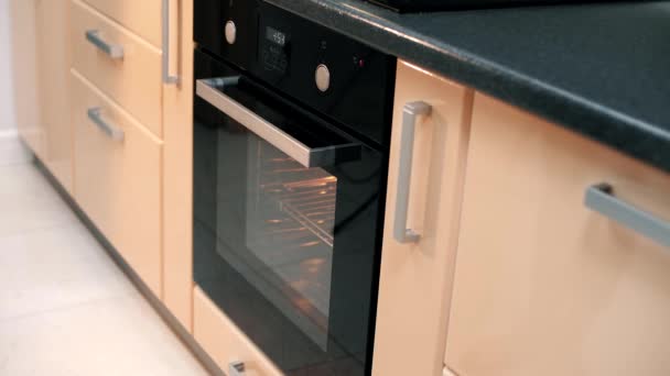 Vrouw in de keuken bereidt een heerlijke zalmsteak in een elektrische oven - Video