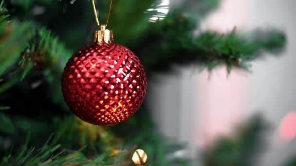 Vörös karácsonyi bál egy szilveszteri fa ágán karácsony este. Közelkép - Felvétel, videó