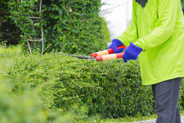 Imagen borrosa de un hombre cortando arbusto verde (imagen borrosa movimiento
) - Foto, Imagen