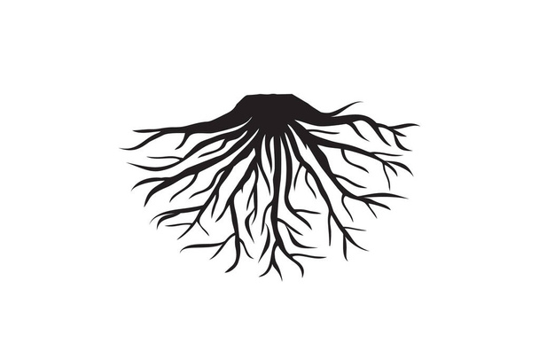 Vida abstracta creativa raíz sobre fondo blanco vector logotipo diseño plantilla - Vector, Imagen
