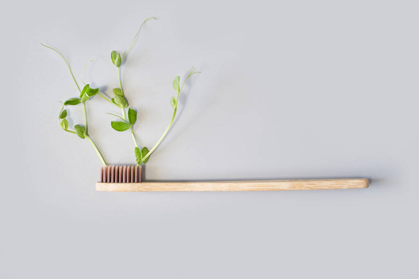 Set of ecology toothbrush. Different color. Sustainable mouth product - Fotografie, Obrázek