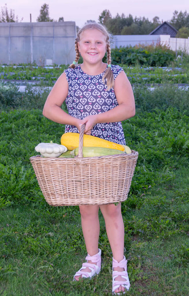 Ein Mädchen mit einem Korb mit Gemüse.  - Foto, Bild